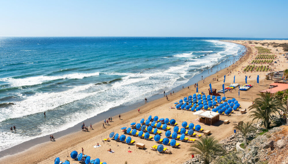 Playa del Inglés sør på Gran Canaria er en av de mest populære strendene på øya.