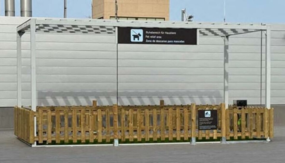 Nå kan du lufte hunden etter sikkerhetskontrollen på Gran Canaria.