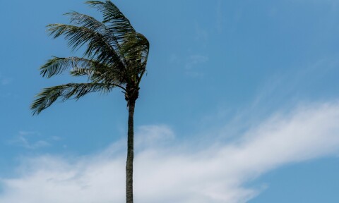 Varsel om kraftig vind på Kanariøyene – opptil 90 km/t