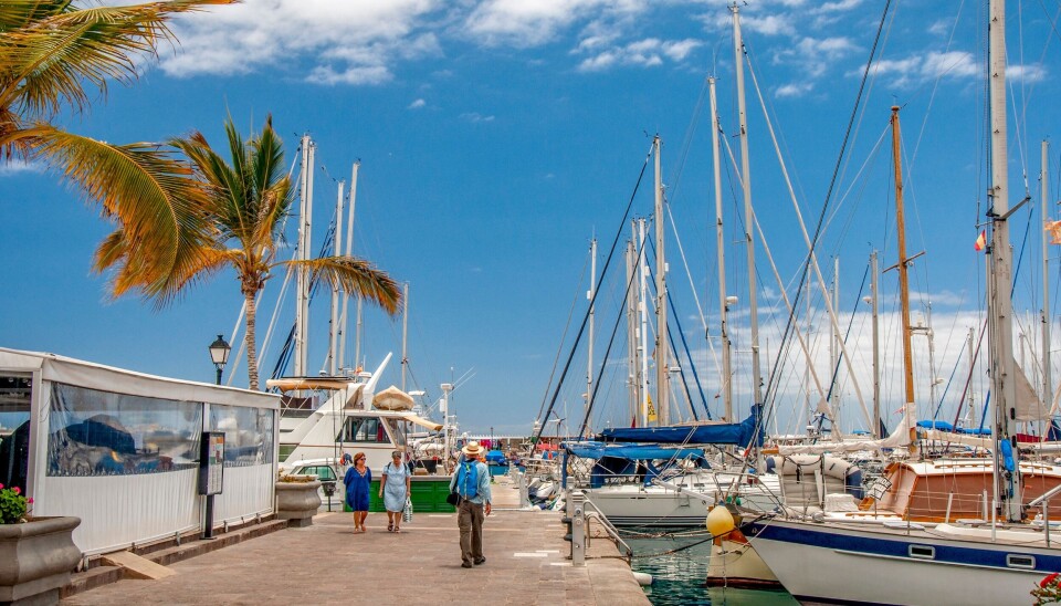 Fra Puerto de Mogán kan du også bli med på flere ulike båtturer, f.eks. delfinsafari.