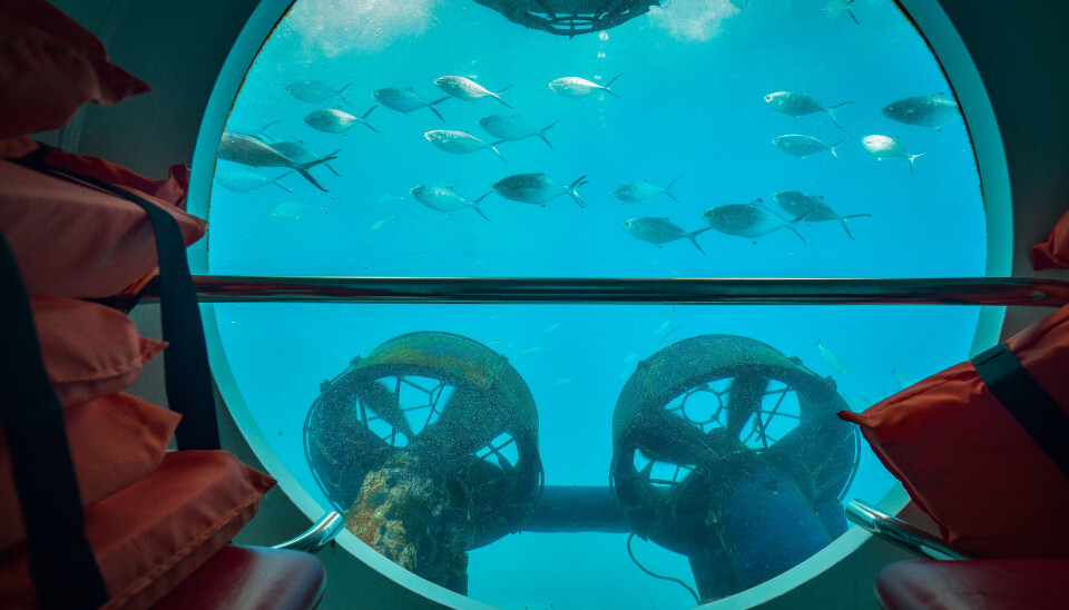 Fra Puerto de Mogán kan du bli med på en ekte ubåt.