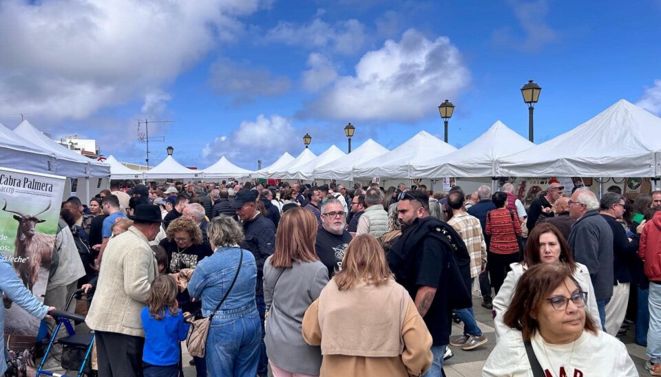 Ostefest betyr storbesøk i Firgas på Gran Canaria.