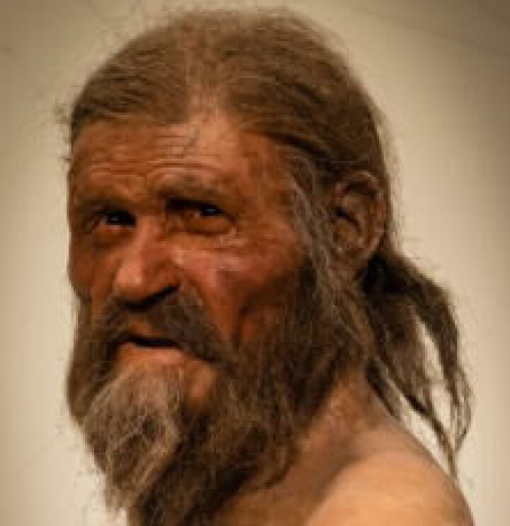 En fremstilling av hvordan Ötzi kan ha sett ut når han levde for over 5000 år siden.