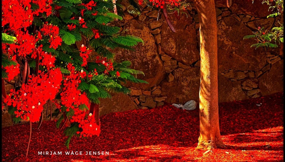 Ved Mercadona i Motor Grande.