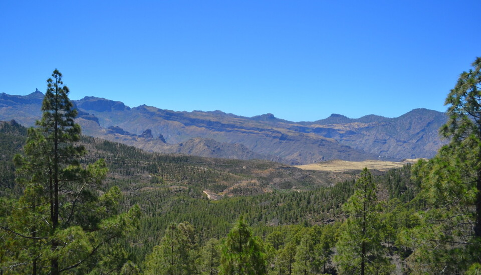 VAKKERT: Tamadaba er en av Gran Canarias vakreste naturparker.
