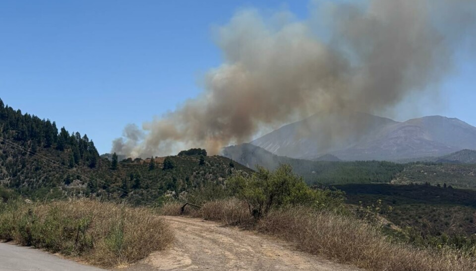 SKOGBRANN: Det har brutt ut skogbrann på Tenerife denne mandagen.