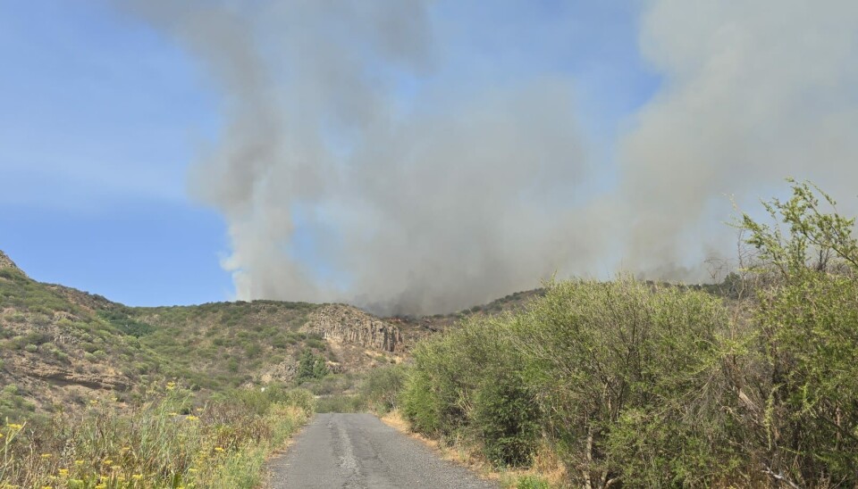 DET BRENNER: En skogbrann på ferieøya Tenerife fører til alarmberedskap. Tirsdag kveld er brannen stabilisert.