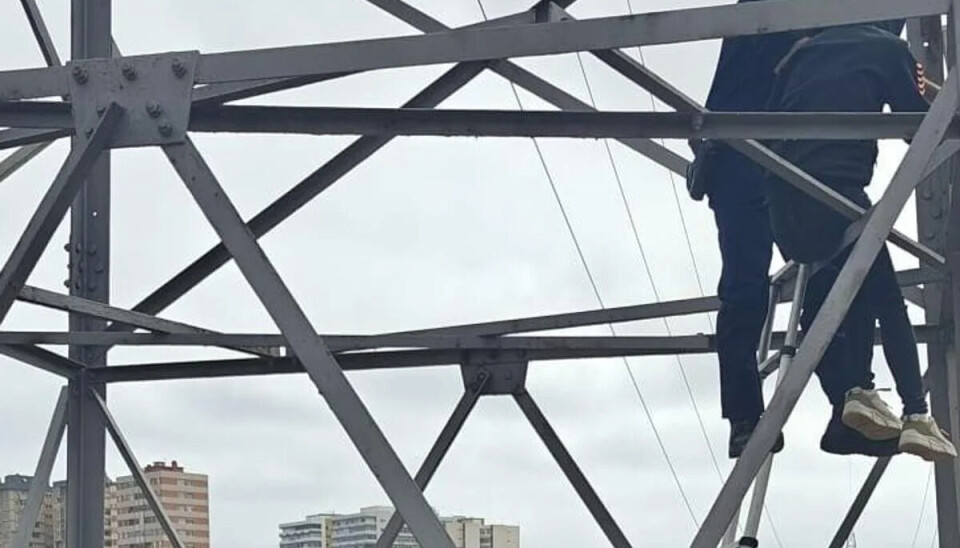 MÅTTE HENTES: En kvinne som hadde tatt seg opp i en høyspentmast, måtte reddes ned av politiet.