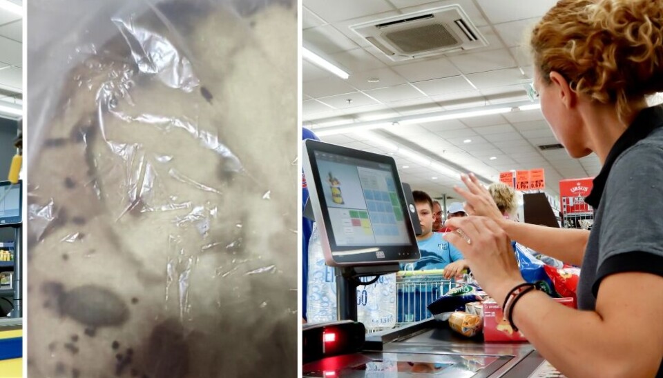 Arkivfoto fra en Lidl-butikk og brødet Aase kjøpte.