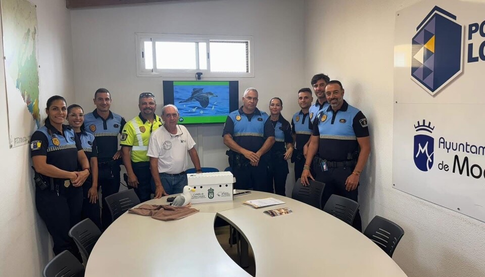 BESKYTTES: Lokalpolitiet i Mogán kommune fikk kurs i bevaring av stormsvaler sør på Gran Canaria.