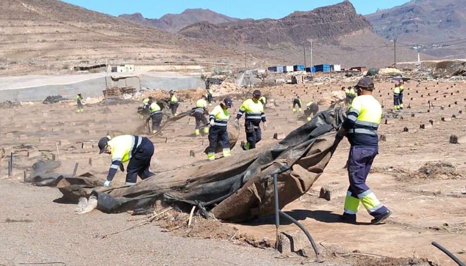 RYDDES: Arbeidsledige settes i sving når store områder med gamle drivhus skal fjernes på Gran Canaria.