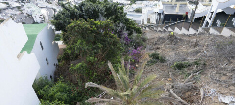 Fjerner ugress og skrot i Puerto Rico: – Kan skade rør og grunnmurer