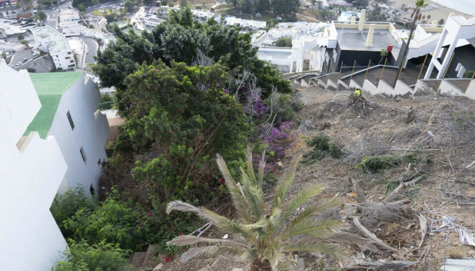 RYDDES: Åssiden i feriebyen Puerto Rico skal ryddes for skrog og vegetasjon.