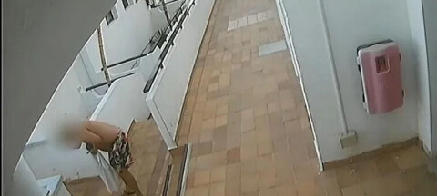 Mann pågrepet etter brutalt kattedrap i Mogán