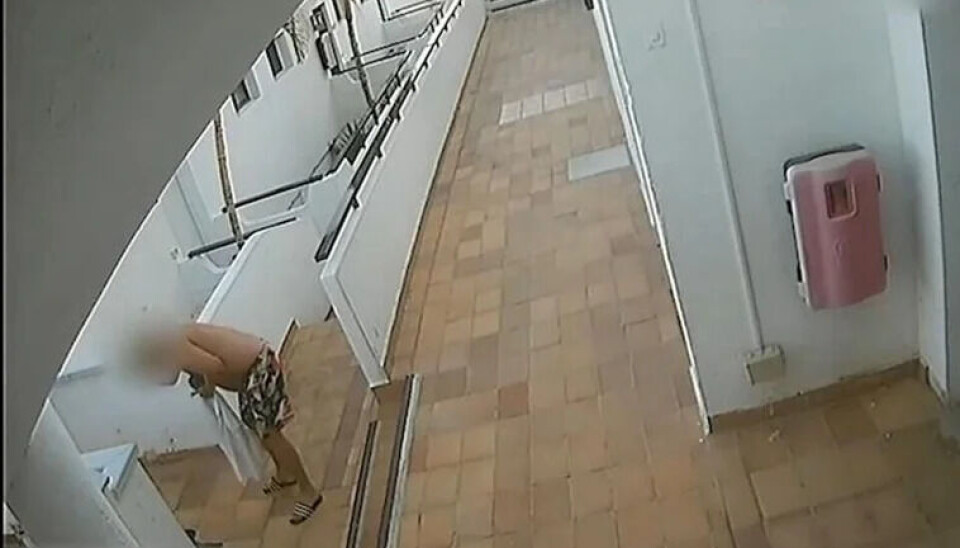 DREPT: Katten 'Millu' ble drept. Nå har politiet pågrepet en mistenkt.