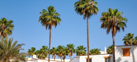 Vil la eiere leie ut turistleiligheter selv