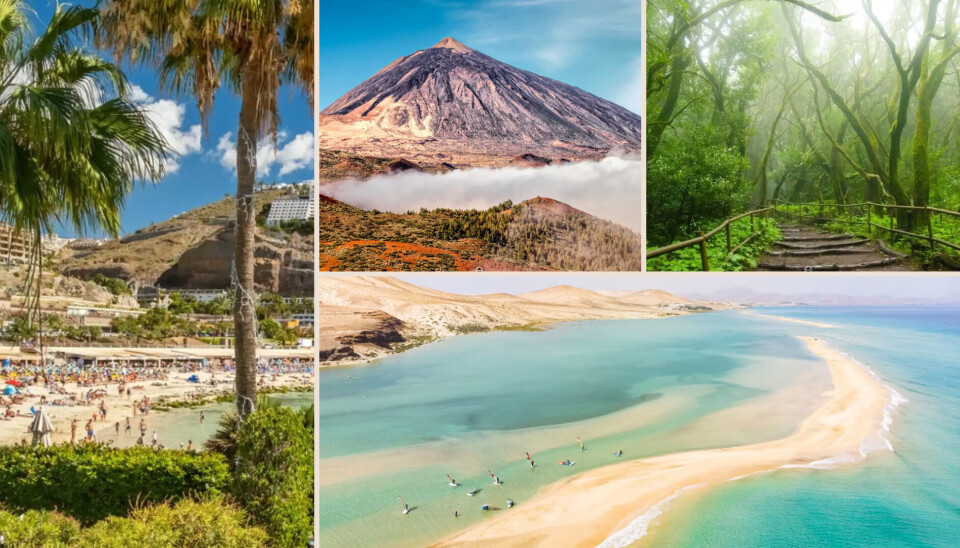 Kanariøyene byr på store kontraster. Hvilken øy bør du velge?
