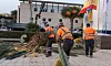 Arbeidere i oransje vester rydder nedblåste palmegrener ved et offentlig bygg.